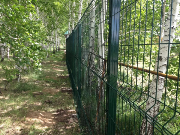 Панельный забор из сетки